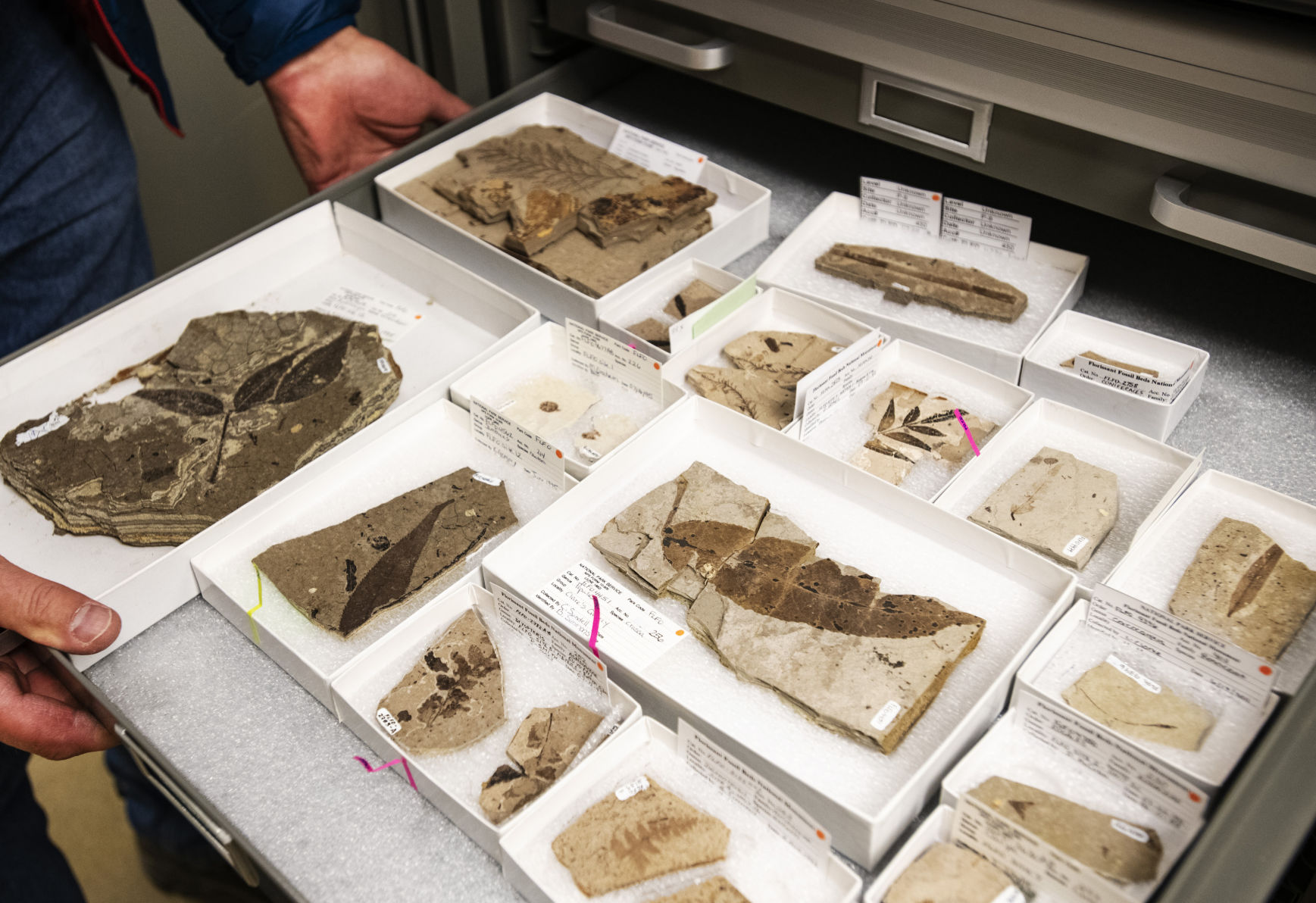 042219-ot-fossil-beds 1.jpg